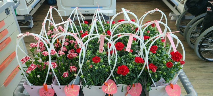 c6263b05e14d355f590e101b051b9ddf_1747047